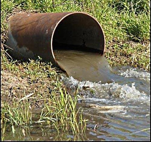Вводится дополнительная ответственность за нарушения в сфере экологии