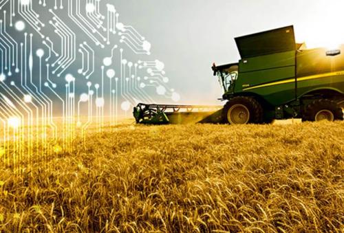 Выделять субсидии сельхозпроизводителям будут онлайн
