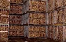 Создана ассоциация для заготовки и хранения плодоовощной продукции