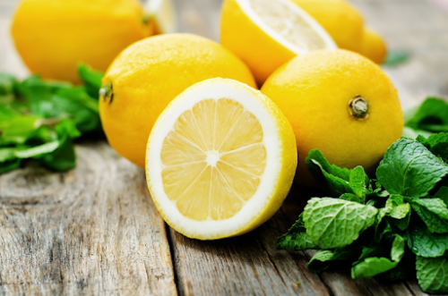 Limonchilikni rivojlantirish uchun qoʻshimcha chora-tadbirlar tasdiqlandi