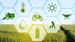 Agroklasterga yangi tartib belgilandi Agroklasterga yangi tartib belgilandi