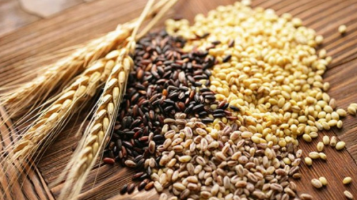 Экспорт семян зерновых и хлопка – по разрешению