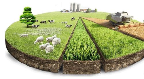 Инициированы новые реформы в сфере сельского хозяйства