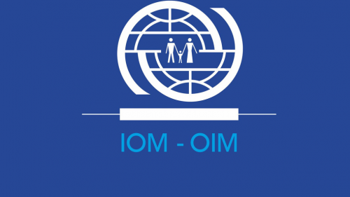 Uzbekistan ratifitsiroval Konstitutsiyu Mejdunarodnoy organizatsii po migratsii