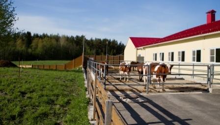 Проведена инвентаризация фермерских хозяйств