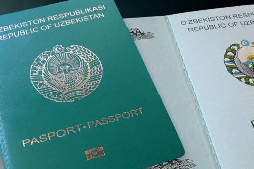 Получить гражданство можно через ЕПИГУ
