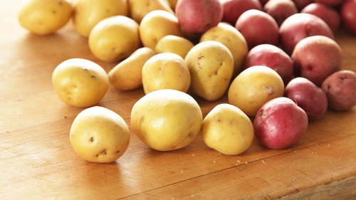 Ўзбекистонга 11 650 тонна уруғлик картошка четдан олиб келинади